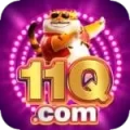 11q - Royal Earning App